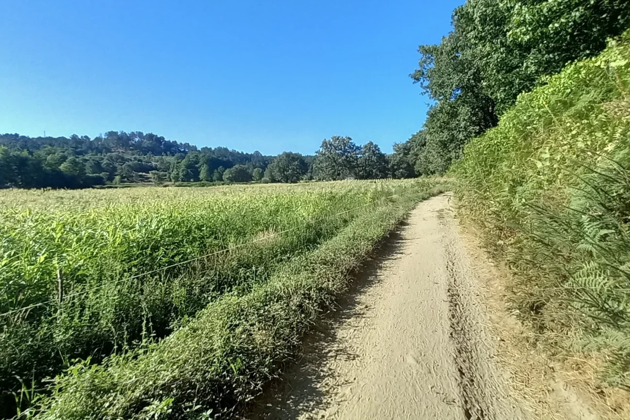 Furtado Fornos de Algodres